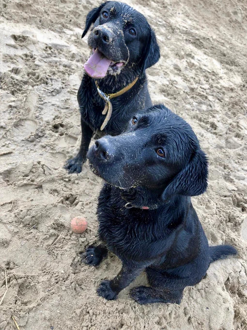Picture credit: Dr Natalie Wallis