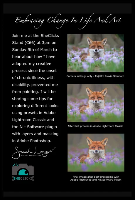 Poster advertising my talk at The Photography Show. The wording reads: Embracing Change In Life And Art - Join me at the SheClicks Stand (C66) at 3pm on Sunday 9th of March to hear about how I have adapted my creative process since the onset of chronic illness, with disability, prevented me from painting. I will be sharing some tips for exploring different looks using presets in Adobe Lightroom Classic and the Nik Software plugin with layers and masking in Adobe Photoshop.

There are 3 copies of an image of a fox lying in crocus flowers with captions describing the stage of post processing they were at. A logo for the community group SheClicks is in the bottom left corner.