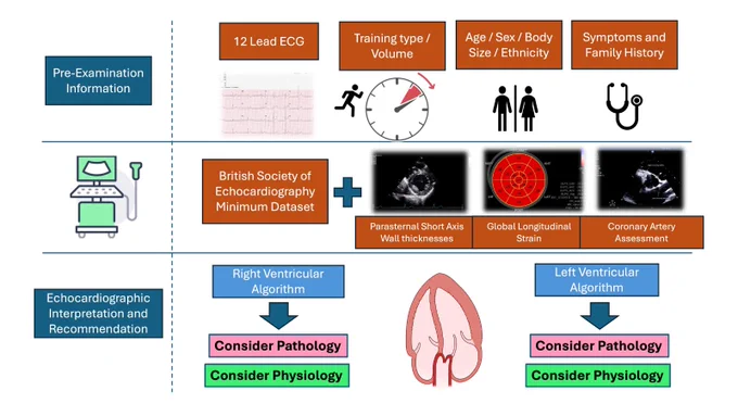 Decision aid to guide assessment of aortic regurgitation severity