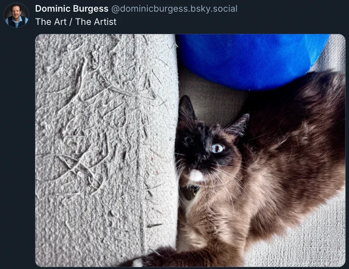Picture of a bsky post with Dominic Burgess and his cat. The text says "The Art / The Artist"