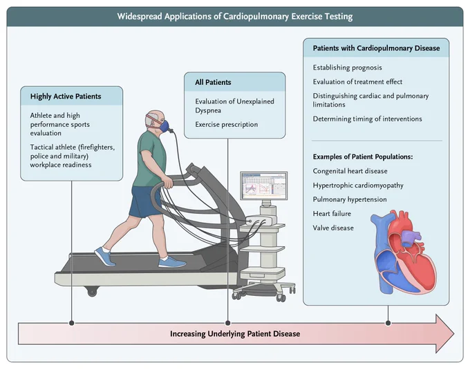 A visual representation of cardiopulmonary exercise testing applications.