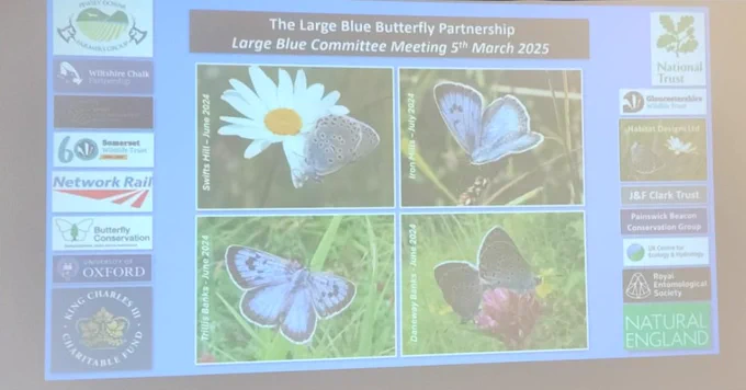 Large Blue Butterfly Committee presentation slides