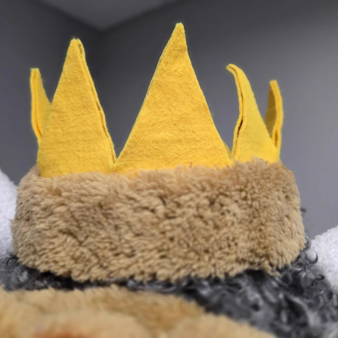A yellow felt crown sits atop a curly head