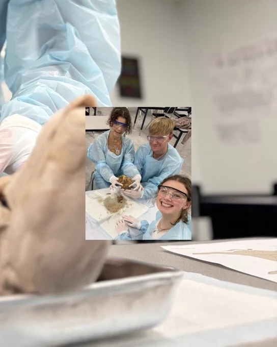 Pig Dissecting 2025
