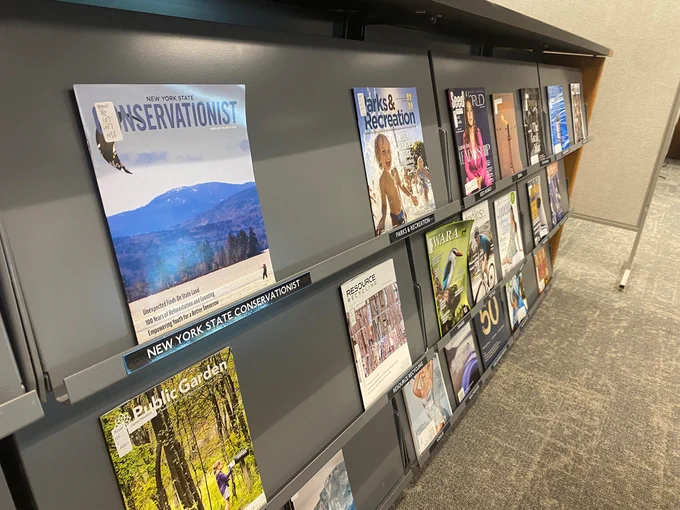 Photo of magazines on a library shelf