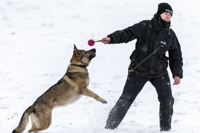 PC Jess with PD Wilma