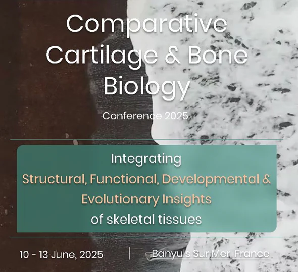A forward-thinking, interactive and inclusive conference for lovers of skeletal (and dental) tissues!

Thanks to our current sponsors & funders!
@Co_Biologists
@Boehringer
@sfbd_biodev
@SICB_DCB_DVM
@CarlGansFund
@umontpellier