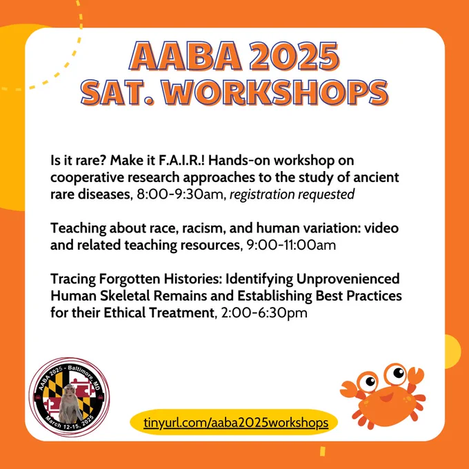 Orange and yellow graphic with white text box. Heading: AABA 2025 SAT. WORKSHOPS. Listed below is a list of workshops: 

Is it rare? Make it F.A.I.R.! Hands-on workshop on cooperative research approaches to the study of ancient rare diseases, 8:00-9:30am, registration requested

Teaching about race, racism, and human variation: video and related teaching resources, 9:00-11:00am

Tracing Forgotten Histories: Identifying Unprovenienced Human Skeletal Remains and Establishing Best Practices for their Ethical Treatment, 2:00-6:30pm

At the bottom of the graphic is a tinyurl link: tinurl.com/aaba2025workshops