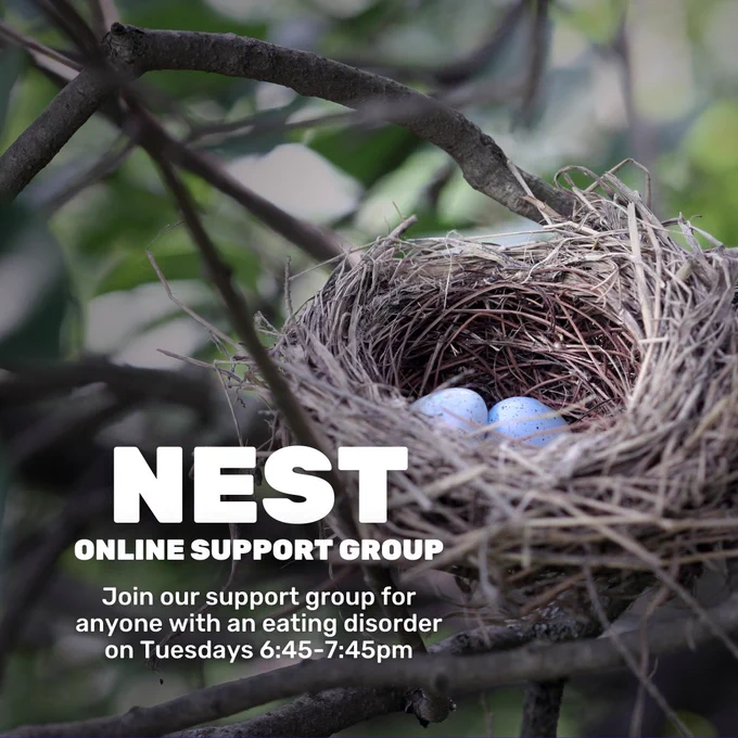 Photo of a bird's nest with two blue eggs inside. The nest is perched within dense branches. In the bottom left corner is white text, with capitalised text reading 'Nest online support group', and regular text underneath reading 'Join our support group for anyone with an eating disorder on Tuesdays 6:45-7:45pm'.