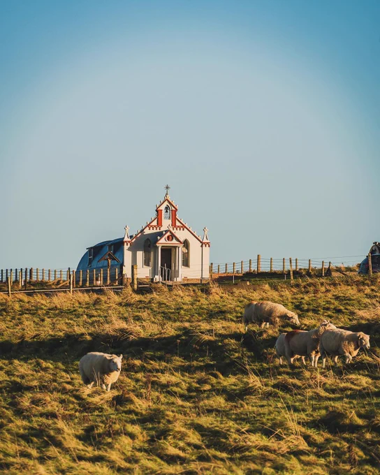 View of the Italian Chapel in Orkney, with sheep in the field in the foreground.