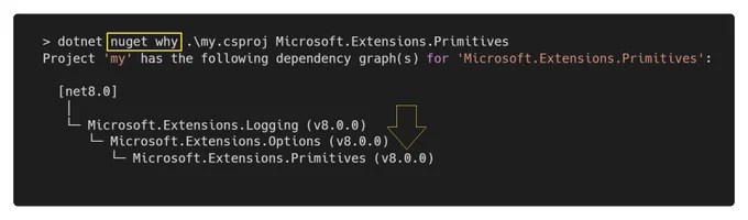 dotnet nuget why example