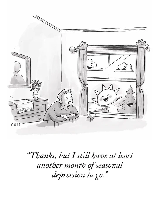 A person sits at their dining table, while an anthropomorphic sun, a pair of clouds, and a tree smile at them through a window. The person says, “Thanks, but I still have at least another month of seasonal depression to go.