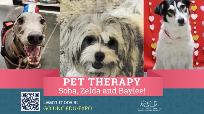 Soba, a greyhound, is wearing a small sparkly hat. Zelda, a small, fluffy white and gray dog, looks up while lying down. Baylee, a small black and white dog, is sitting while tilting her head to the side. Text below says, Pet Therapy - Soba, Elly and Baylee! Learn more at go.unc.edu/expo - Total Wellbeing - Head, Heart, Heels. 