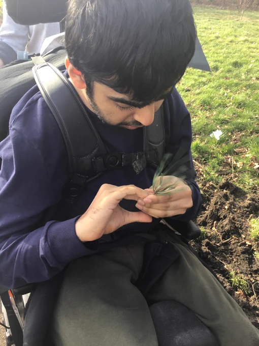 A young man in a powerchair exploring some greenery by holding it in his hands. 
