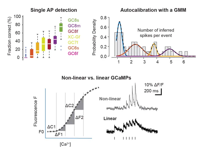 Three images with figure excerpts from the paper, highlighting 1) single-spike detection analysis, 2) autocalibration analysis, and 3) non-linearity of calcium-to-fluorescence transfer functions and their effect on the reporting of complex spiking events.