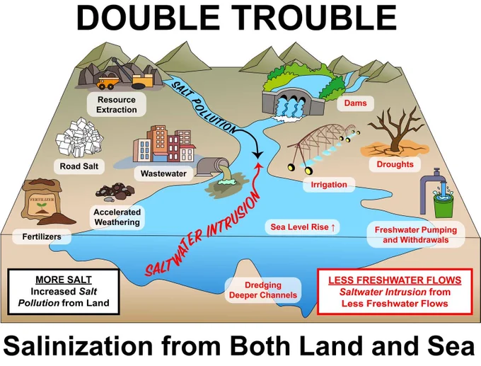 Infographic description: Salinization can come from a variety of sources. Combined, salt coming from both land and sea can spell "double trouble" for fresh water supplies. 