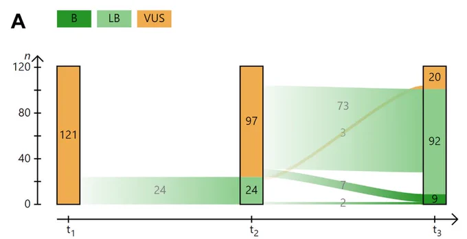 Screenshot of Figure 2: Reclassification of VUS at 3 distinct transition points (ACMG/AMP, ACMG/AMP   SVI, and ENIGMA): A. The top section of the figure shows the number of variants n as bars on the y-axis and their classification into (benign, likely benign, and variants of uncertain significance [VUS]) in their corresponding color (green, light green, and yellow, respectively) at 3 distinct transition points t1, t2, and t3 (x-axis). The transition points refer to the initial interpretation and the 2 reanalysis: American College of Medical Genetics and Genomics/Association for Molecular Pathology (ACMG/AMP) 2015 (t1) represent the baseline VUS for this study. These variants were classified as VUS between January 2018 and November 2023. Sequence Variant Interpretation Working Group (SVI) recommendations from 2015 onward were considered, depending on the time of classification, eg, PM2 used as ...[remainder at link]