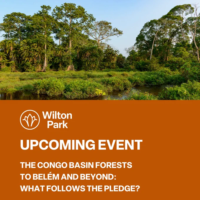 Trees grow in the Congo Basin rainforest. Text reads: Upcoming event - The Congo Basin forests to Belém and beyond: What follows the Pledge?