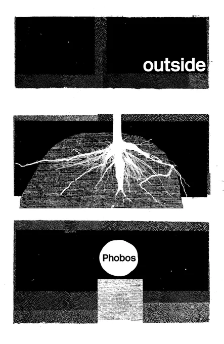 small hours
big time

outside - the roots of a privet recover
from the shock of being dug up

( this action broke my spade )

meanwhile - a flint that resembles Phobos
sits on a tower of bricks - it is a clear night