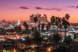photo of the city of los angeles with palm trees and a red sky