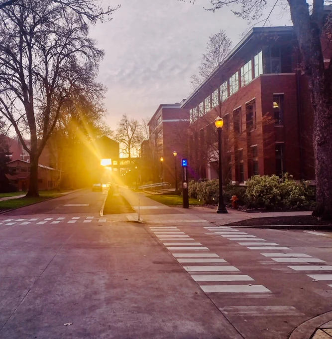 Sun shining and refracting through a skybridge between two brick buildings on a college campus.