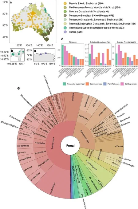 Figure 1 from the publication, showing locations and biomes sampled in continental Australia, Christmas Island, and Antarctica, and major fungal groups detected with their ecology.   
This work was supported by an Australian Government Research Training Program scholarship from La Trobe University. We would like to acknowledge the contribution of the Australian Microbiome and Biomes of Australian Soil Environments consortiums in the generation of data used in this publication. The Australian Microbiome initiative is supported by funding from Bioplatforms Australia and the Integrated Marine Observing System through the Australian Government’s National Collaborative Research Infrastructure Strategy, Parks Australia through the Bush Blitz program funded by the Australian Government and BHP, and CSIRO.