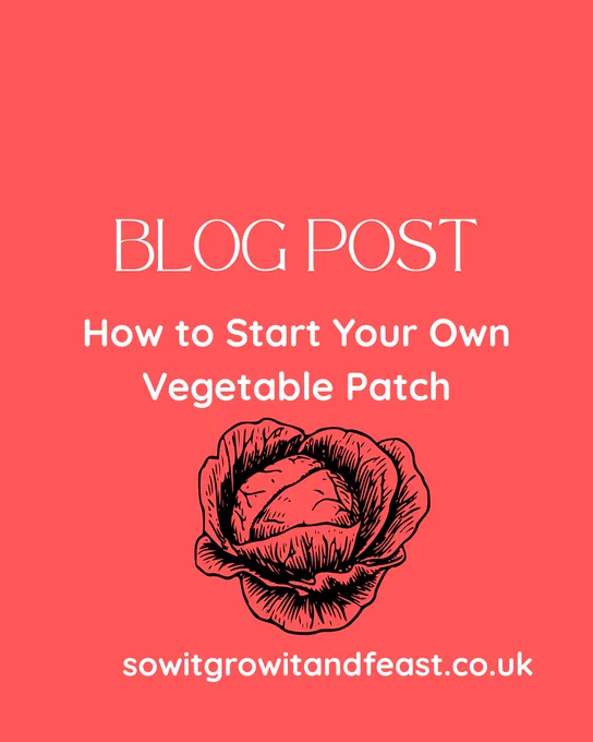 Blog Post
How to start your own vegetable patch
black outline of a cabbage
sowitgrowitandfeast.co.uk