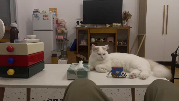 furfur the cat