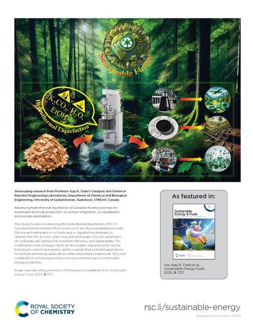 "Advancing hydrothermal liquefaction of Canadian forestry biomass for sustainable biocrude production: co-solvent integration, co-liquefaction, and process optimization"