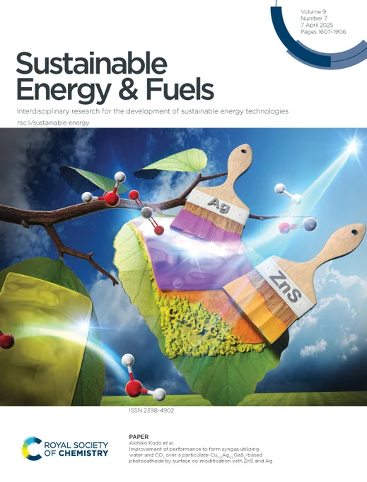 "Improvement of performance to form syngas utilizing water and CO2 over a particulate-Cu0.8Ag0.2GaS2-based photocathode by surface co-modification with ZnS and Ag"