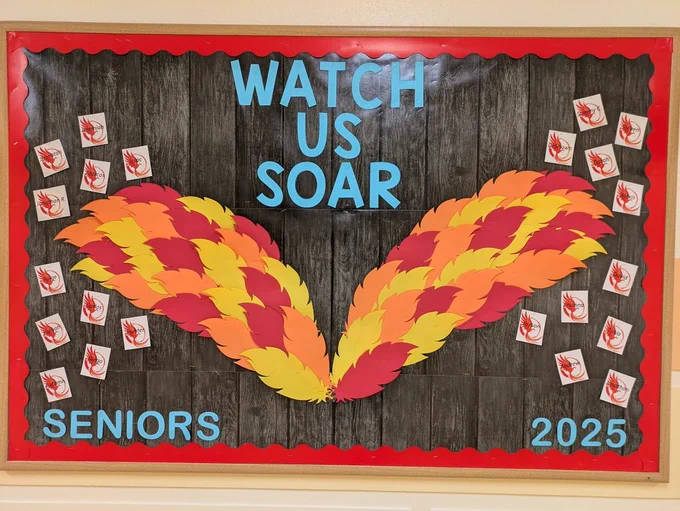 Phoenix Wings for seniors