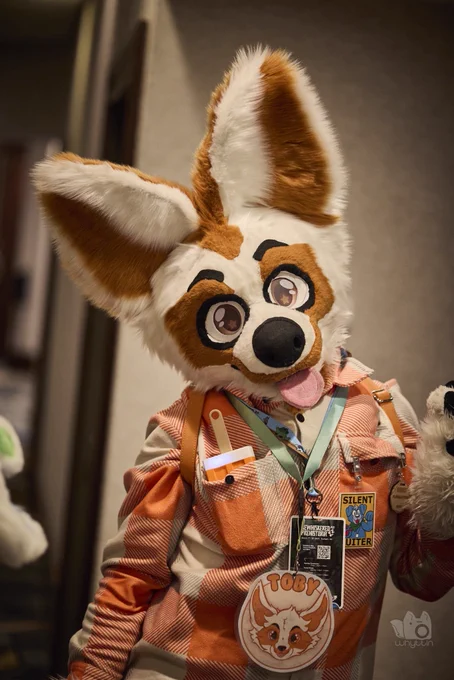 A cute fennec fox fursuit staring at the camera with its big gay ears and its beautiful starry eyes