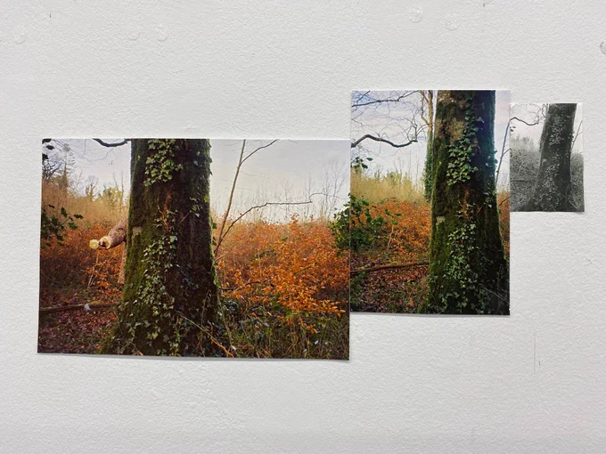 Anna O'Leary images of work from Test Space residency at LCGA, last weekend