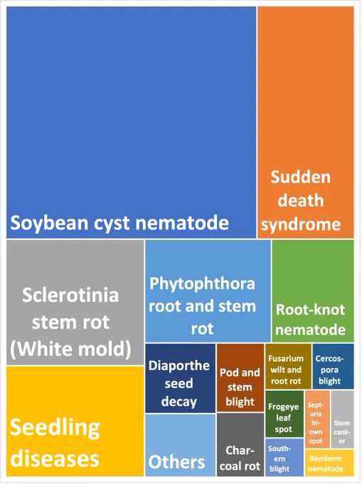 Treemap graphic showing proportion of losses for top yield reducing soybean diseases in 2024.