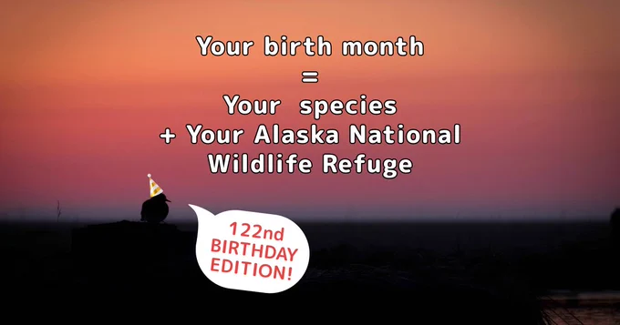 A bird of sunset with. Text: your birthday month equals your species plus your Alaska national wildlife refuge 122nd birthday edition.