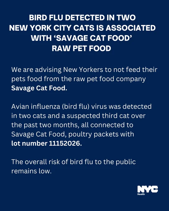 Text reads:  BIRD FLU DETECTED IN TWO 
NEW YORK CITY CATS IS ASSOCIATED WITH ‘SAVAGE CAT FOOD’ 
RAW PET FOOD 
We are advising New Yorkers to not feed their pets food from the raw pet food company Savage Cat Food.  

Avian influenza (bird flu) virus was detected in two cats and a suspected third cat over the past two months, all connected to Savage Cat Food, poultry packets with 
lot number 11152026.

The overall risk of bird flu to the public remains low. 

N Y C Health logo
