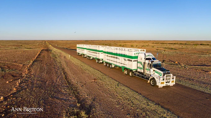 Amazing photo of a cattle road train on the Donohue Highway, Outback Way near Boulia from @annbrittonphotography 

See more of Ann's works at www.annbrittonphotography.com.au