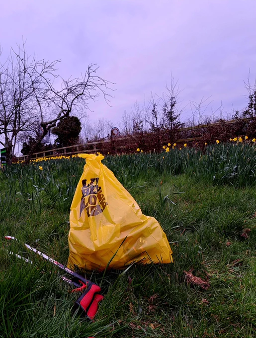 Bag of litter collated sitting on the grassland dotted with bright yellow daffodils 