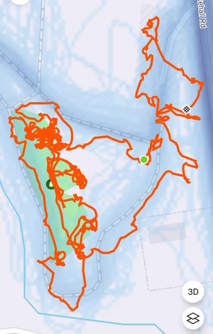 Strava map of the park litterpicked