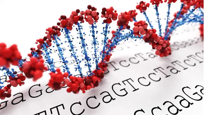 DNA strand