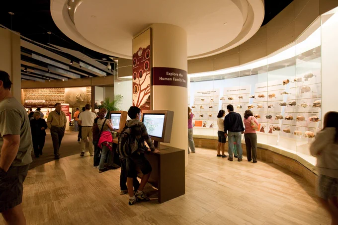 Visitors looking at displays in a human evolution museum exhibit