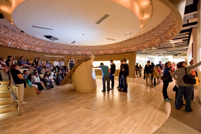 Visitors looking at displays in a human evolution museum exhibit