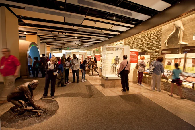 Visitors looking at displays in a human evolution museum exhibit