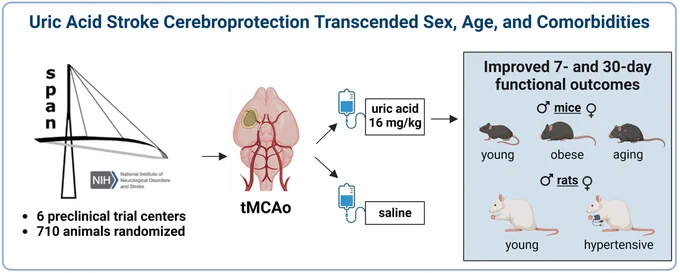 Graphic abstract in Patel and Kumskova et al.