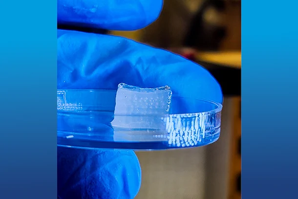 A gloved hand holds a dish with clear gel.