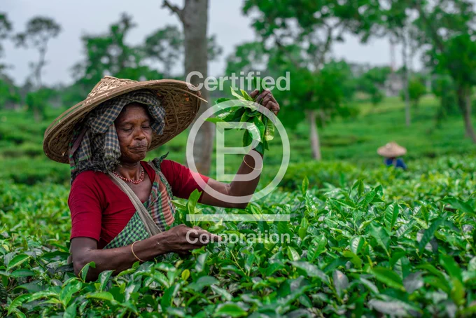 Symbiotics is the leading market access platform for impact investing, dedicated to private markets in emerging and frontier economies. The group offers investment, asset management and capacity building services. Since 2005, Symbiotics has originated over 8,200 investments representing more than USD 10.5 billion for 608 companies in 99 countries.