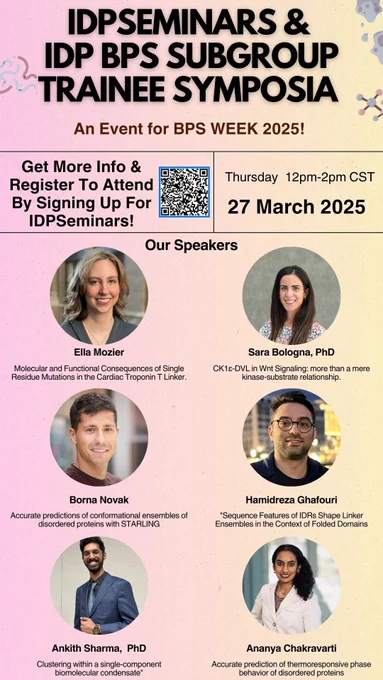 IDPSeminars/BPS IDP Subgroup symposium. March 27th 2025 at noon central time. Speakers are Ella Mozier, Sara Bologna, Borna Novak, Hamidreza Ghafouri, Ankith Sharma and Ananya Chakravarti!
