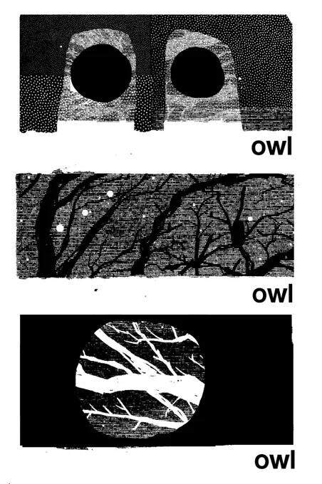 small hours
big time

that owl is back on it
declaring himself from the trees behind work

scanning the branches 
with torch at 0257 - no, can't see him