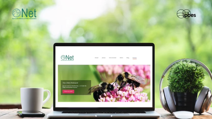 Alt text: Image of a desk with a mug and some headphones next to a laptop displaying the ONet website.