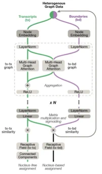 segger's network architecture. 